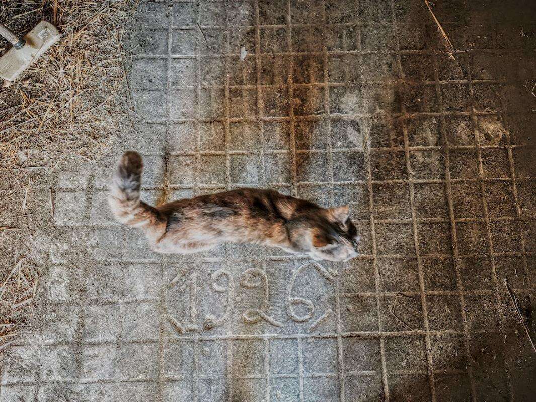 Maison à MIRAMONT-DE-QUERCY