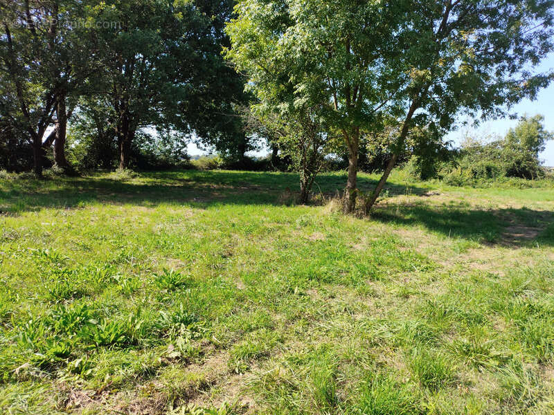 Terrain à TESSON