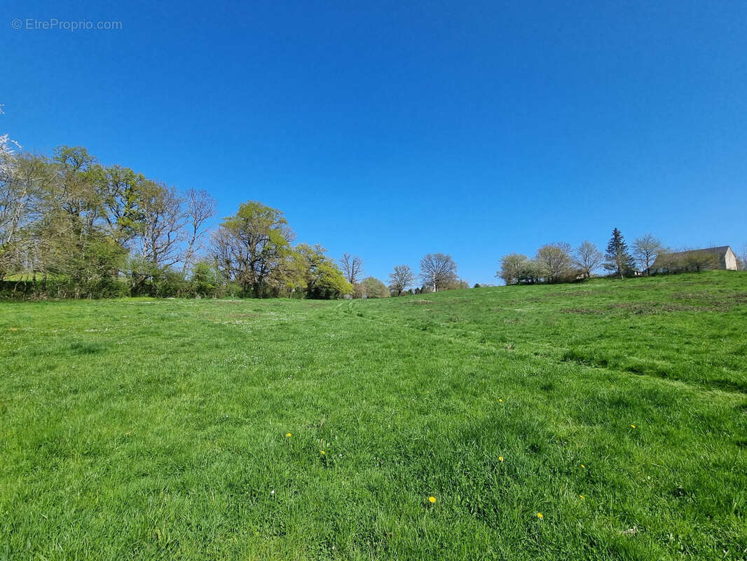 Maison à CHASSIGNOLLES