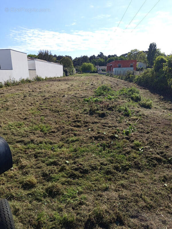 Terrain à SAINT-AUGUSTIN