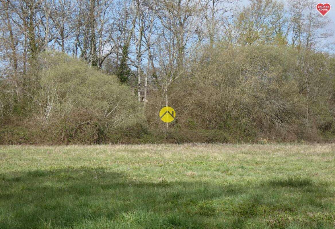 Maison à ARGENT-SUR-SAULDRE