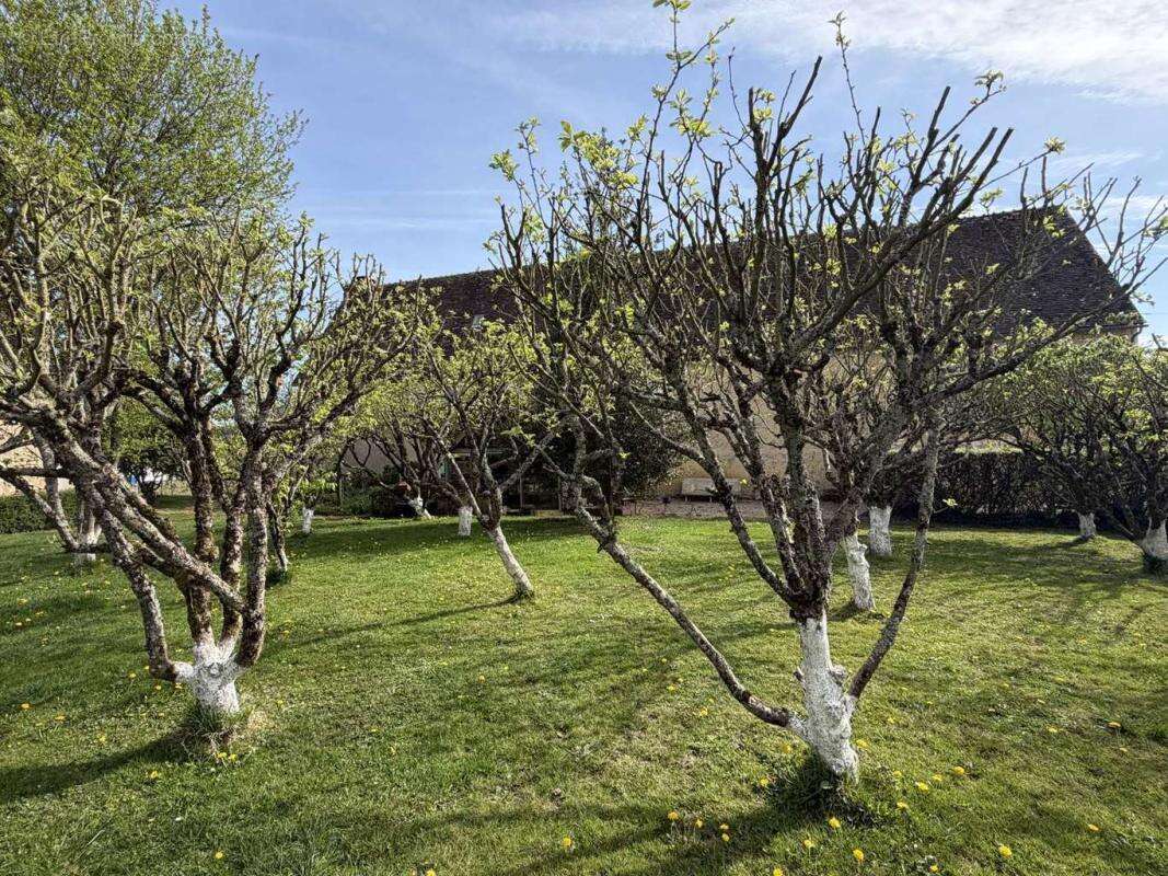 Authentique corps de ferme au cœur du Perche sur 3400m2 - photo 26