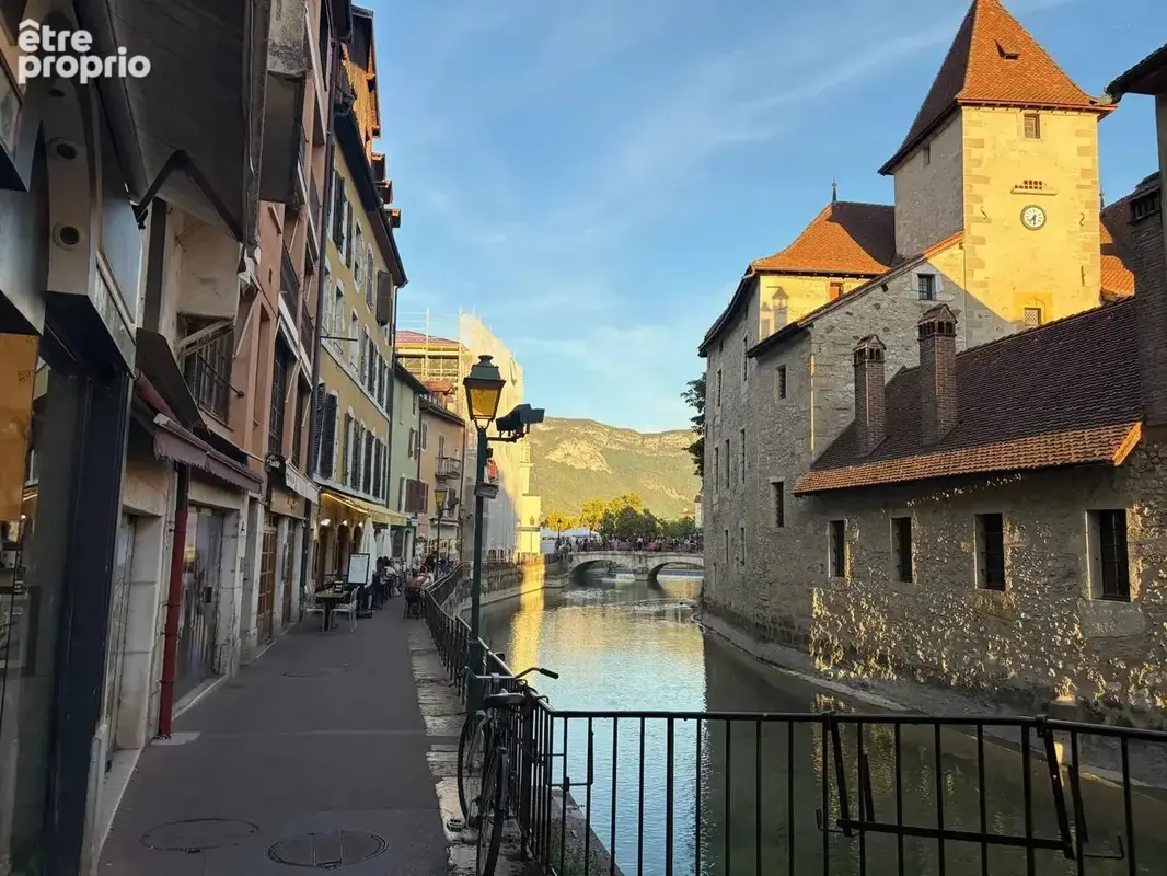 Photo Commerce à Annecy au prix de 290 030€