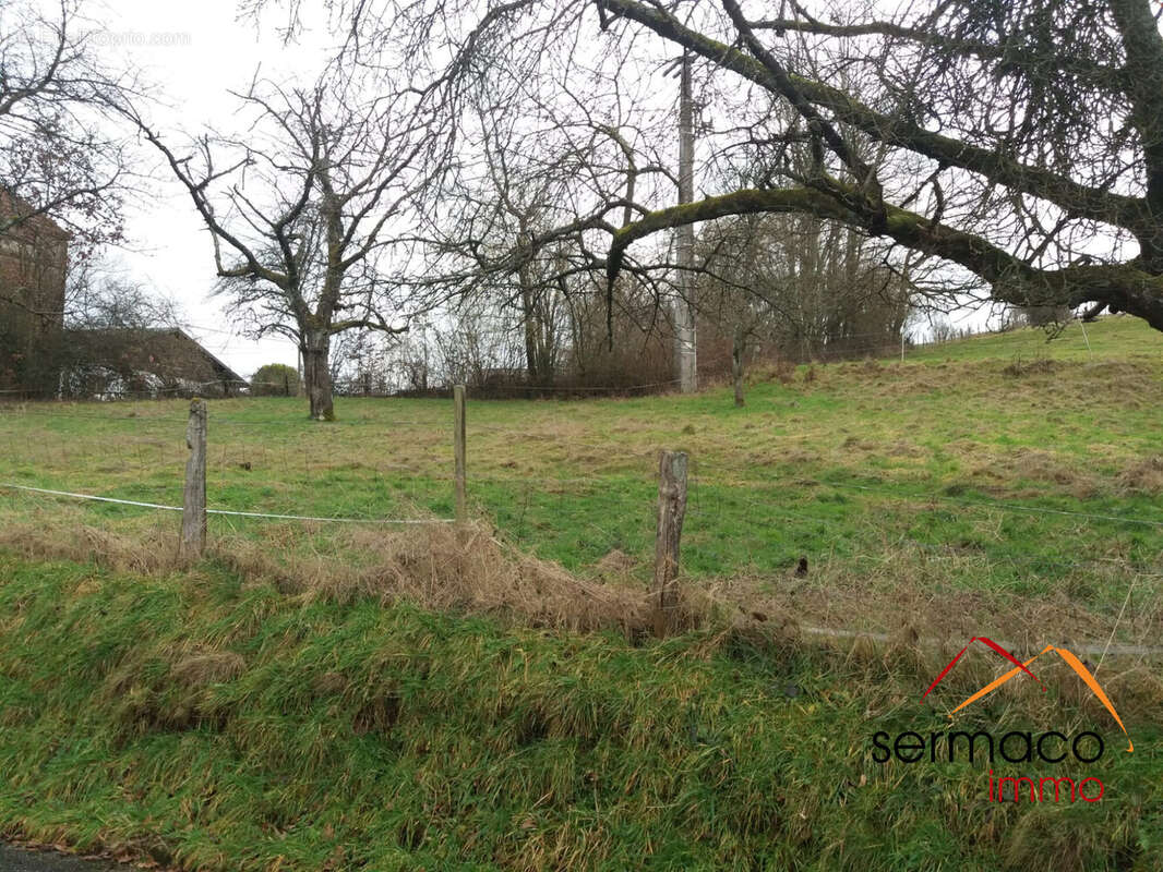 Terrain à VOLMUNSTER