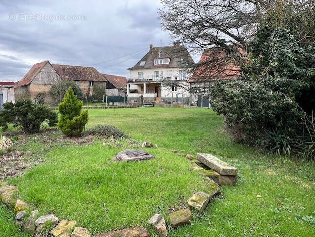 Terrain à SESSENHEIM