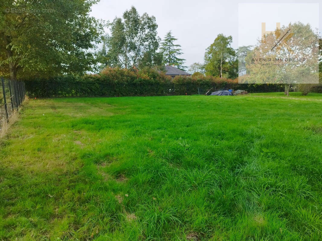 Terrain à SAINT-LAMBERT-LA-POTHERIE