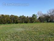 Terrain à COULLEMELLE