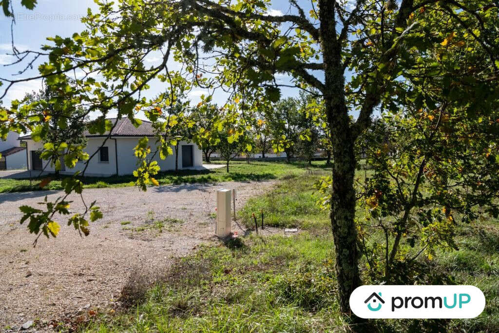 Terrain à LALBENQUE