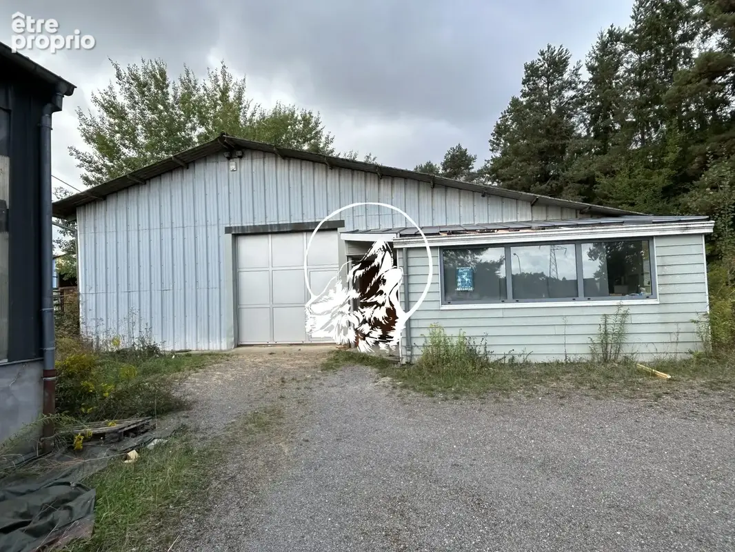 Commerce 518 m² à vendre à Longeville-Les-Saint-Avold (57740) - photo 7