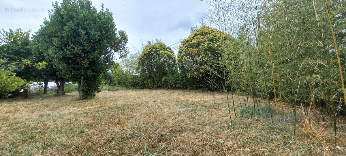Terrain à CUGNAUX