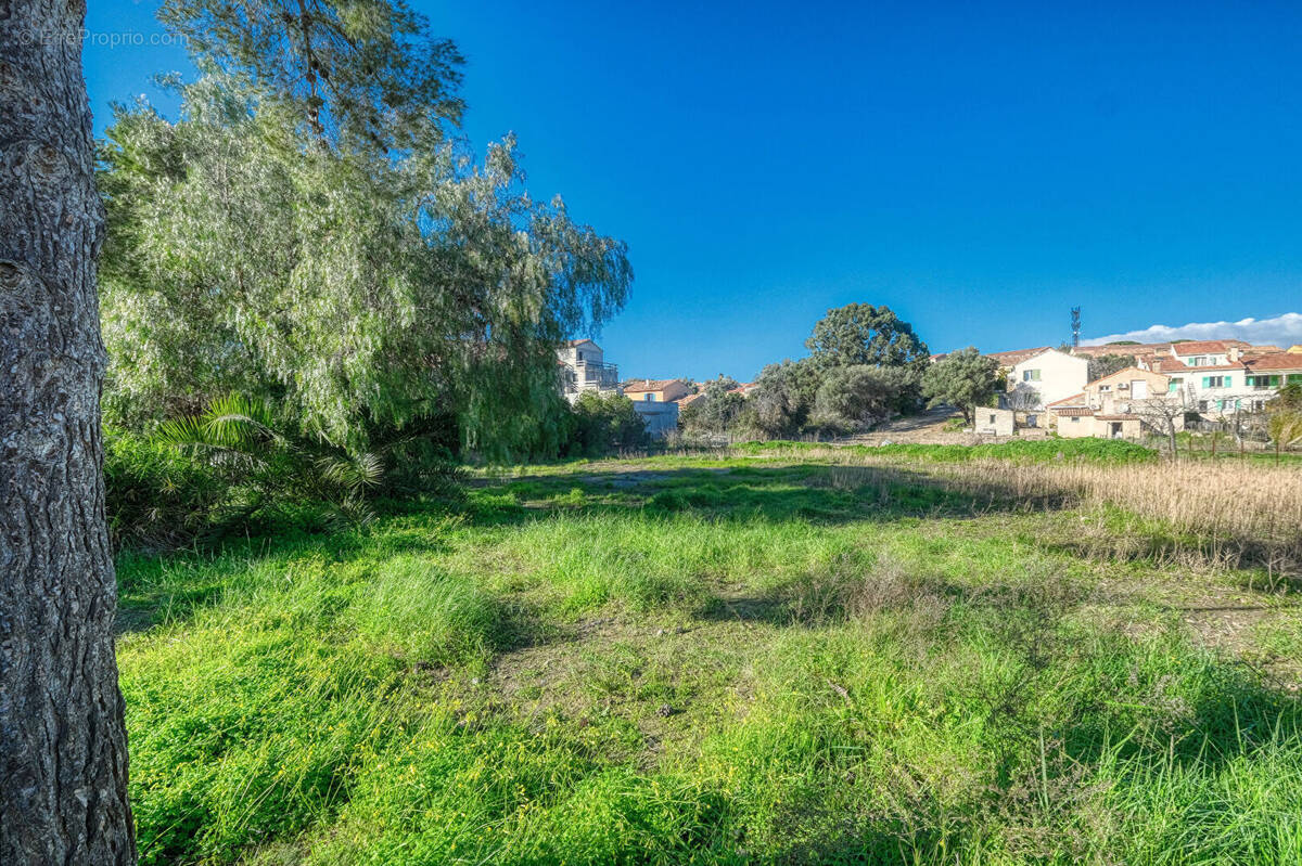 Terrain à SAINT-FLORENT