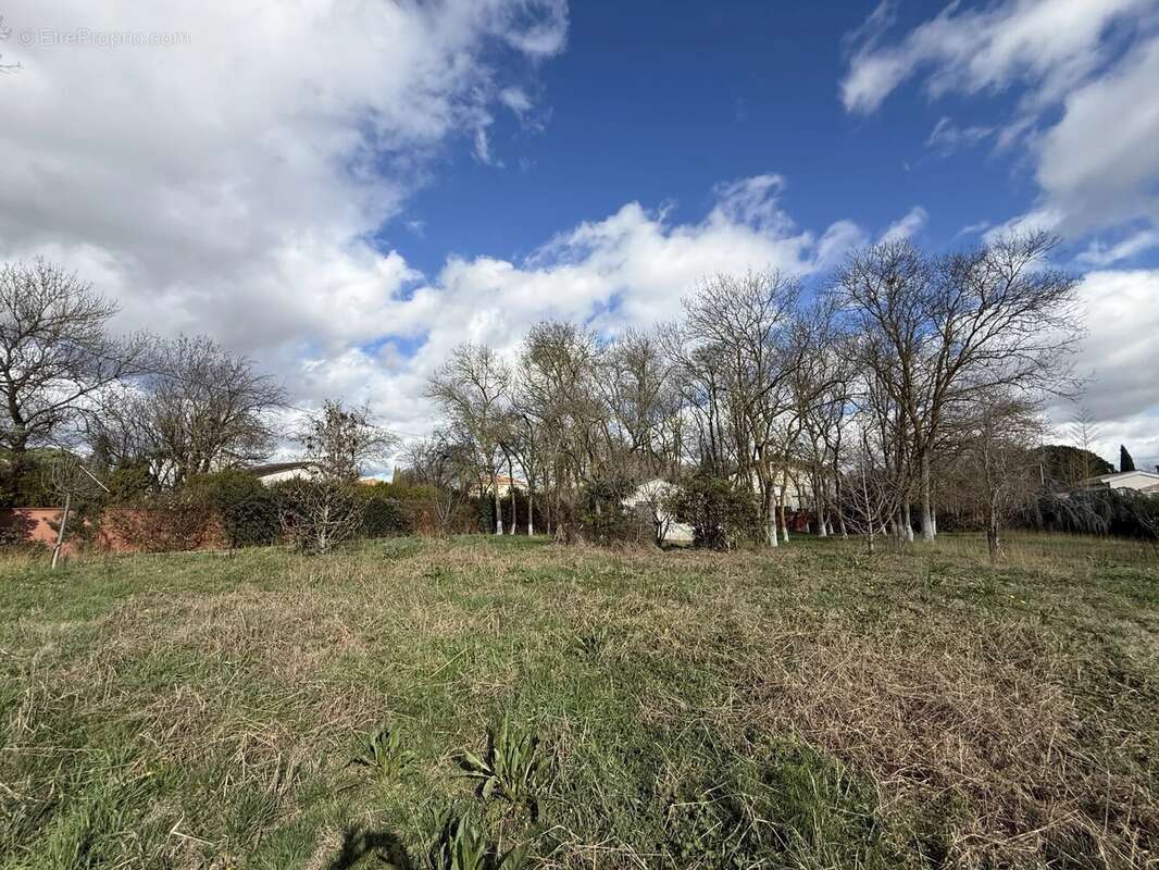 Terrain à TOULOUSE
