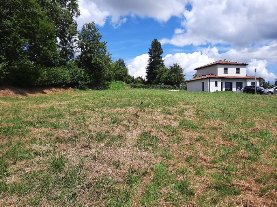 Terrain à SANSAC-DE-MARMIESSE