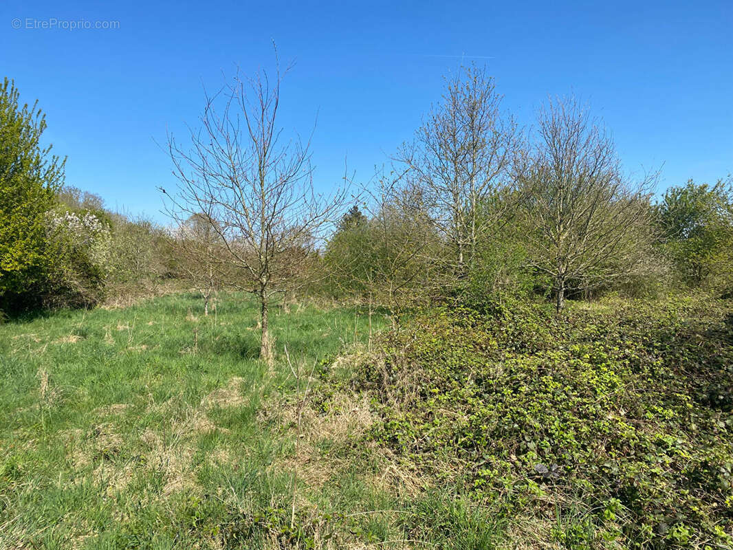 Terrain à TOURNEVILLE