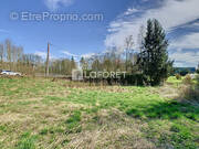 Terrain à SOMME-BIONNE