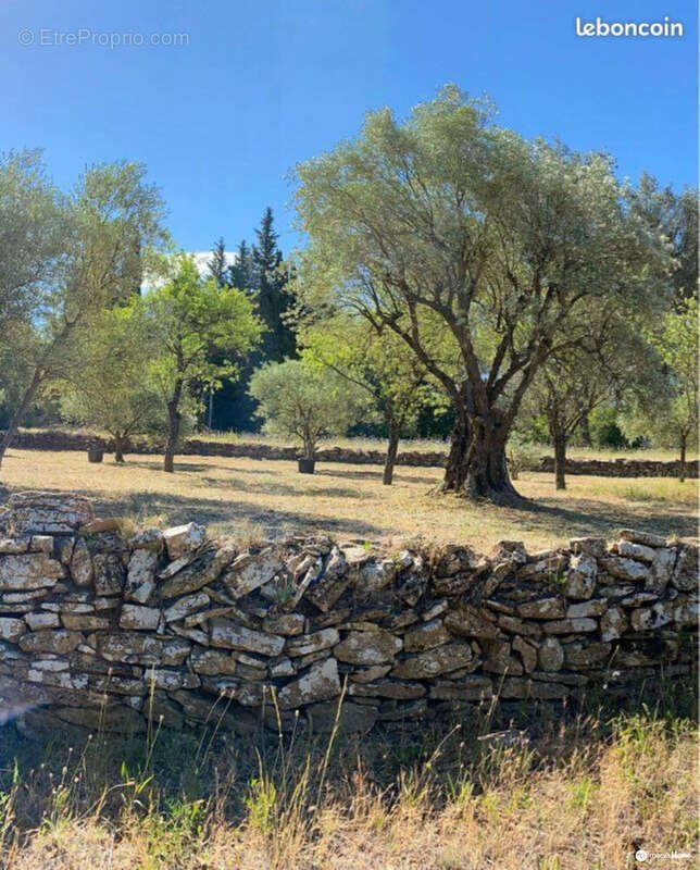 Terrain à LE BEAUSSET