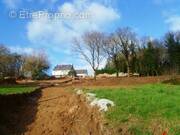Terrain à GUEMENE-SUR-SCORFF