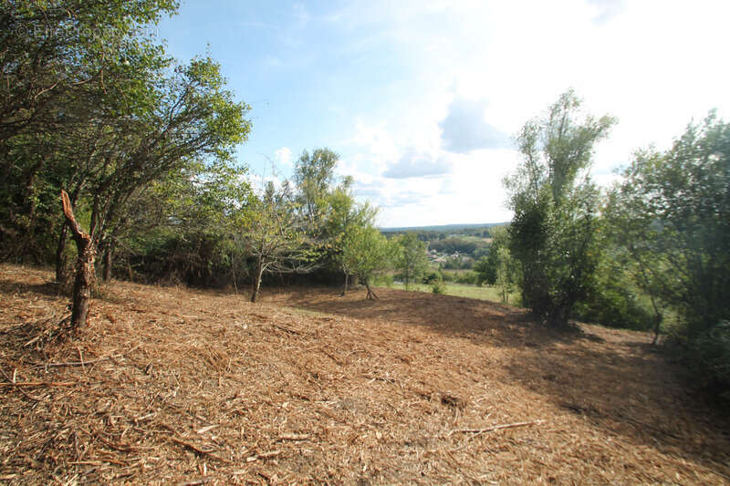 Maison à CASTELJALOUX