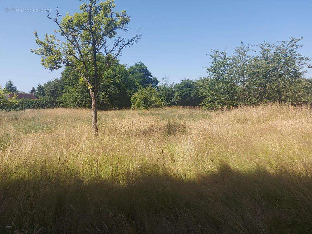 Maison à BOURNEVILLE