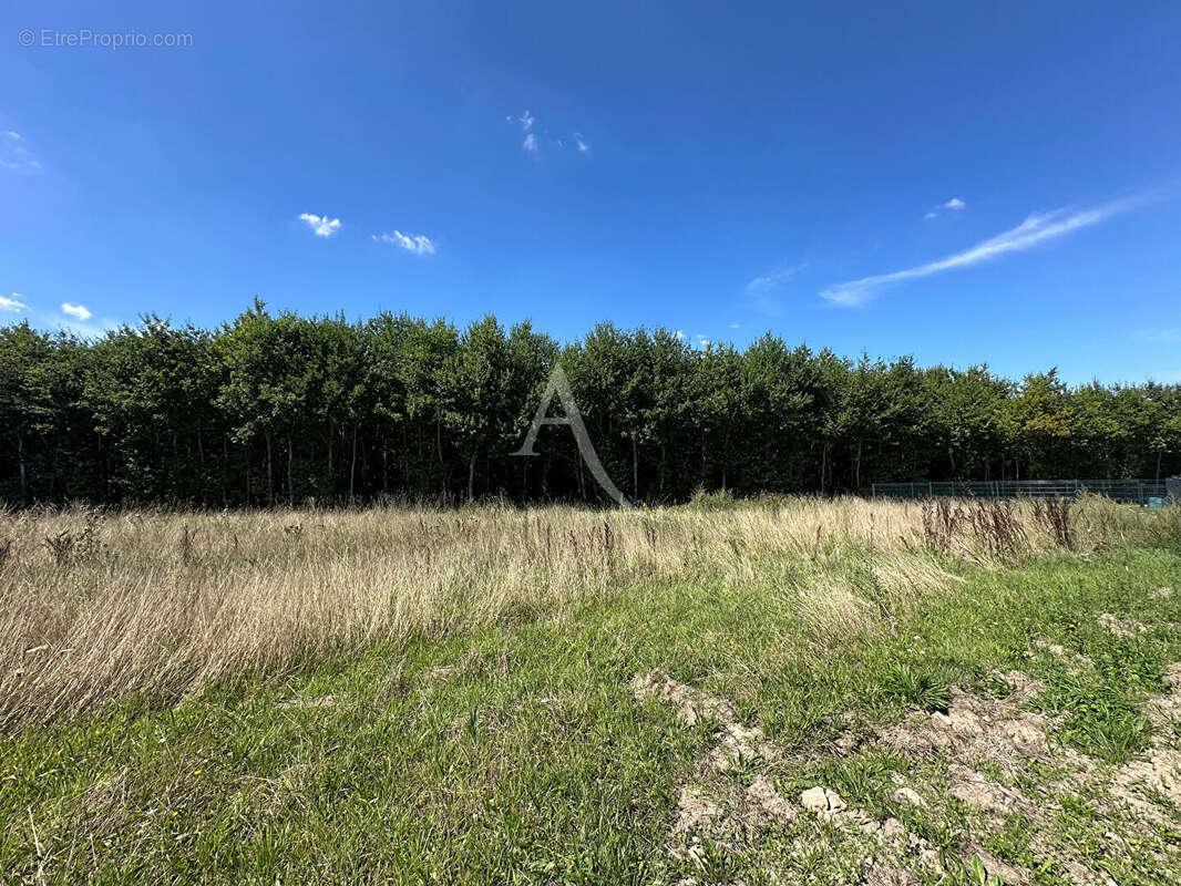 Terrain constructible à Boigny-sur-Bionne (45760)  970 m² - photo 3