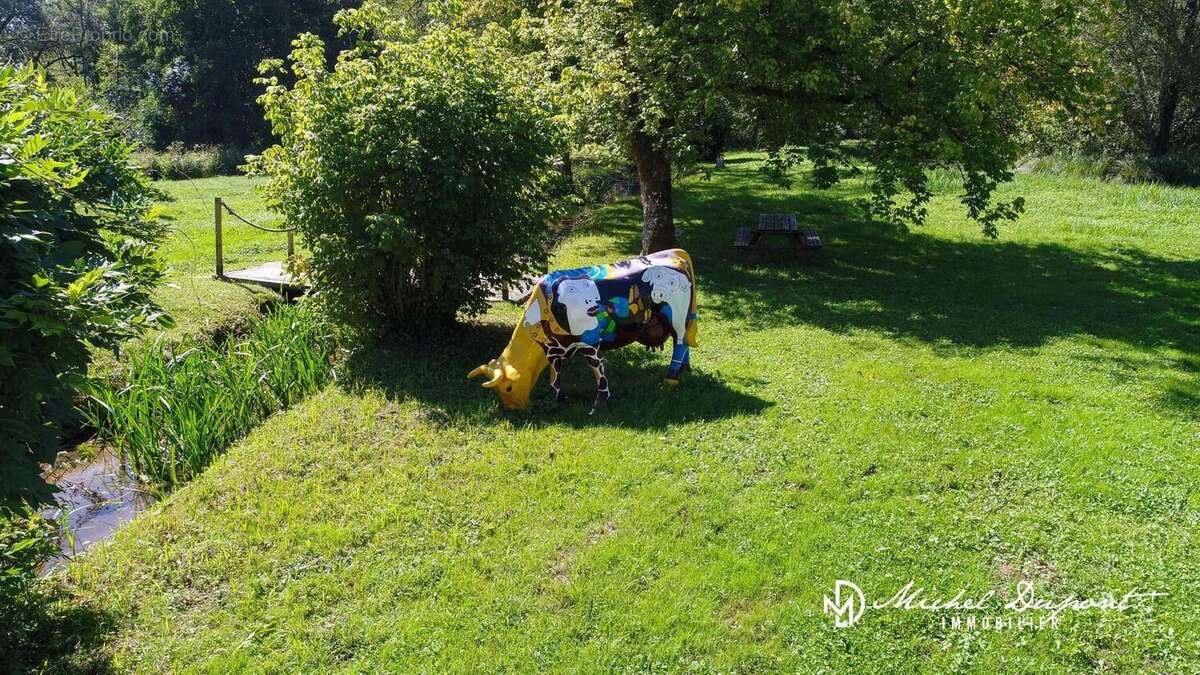 Maison 230 m² à Paunat  - photo 7