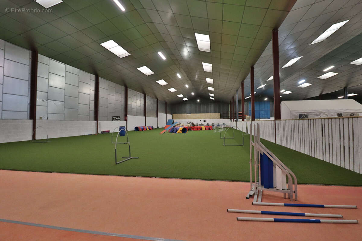 Hangar villacerf - photo 11