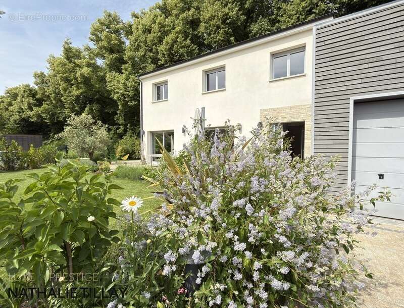 Maison à SAINT-JEAN-DE-BRAYE