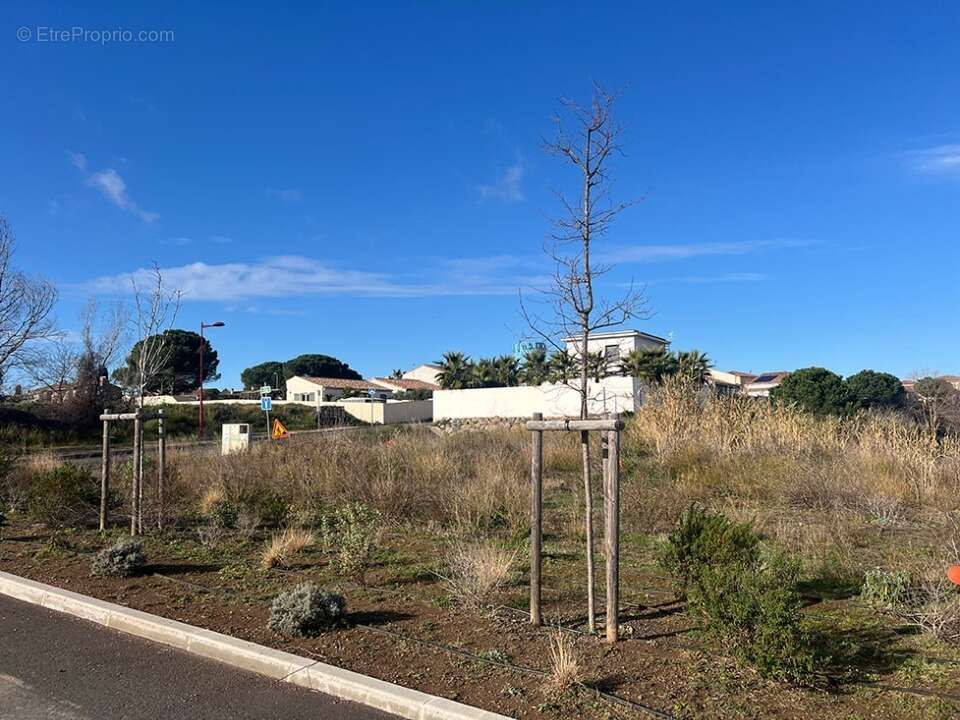 Terrain 350 m² à Saint-Thibery  - photo 3