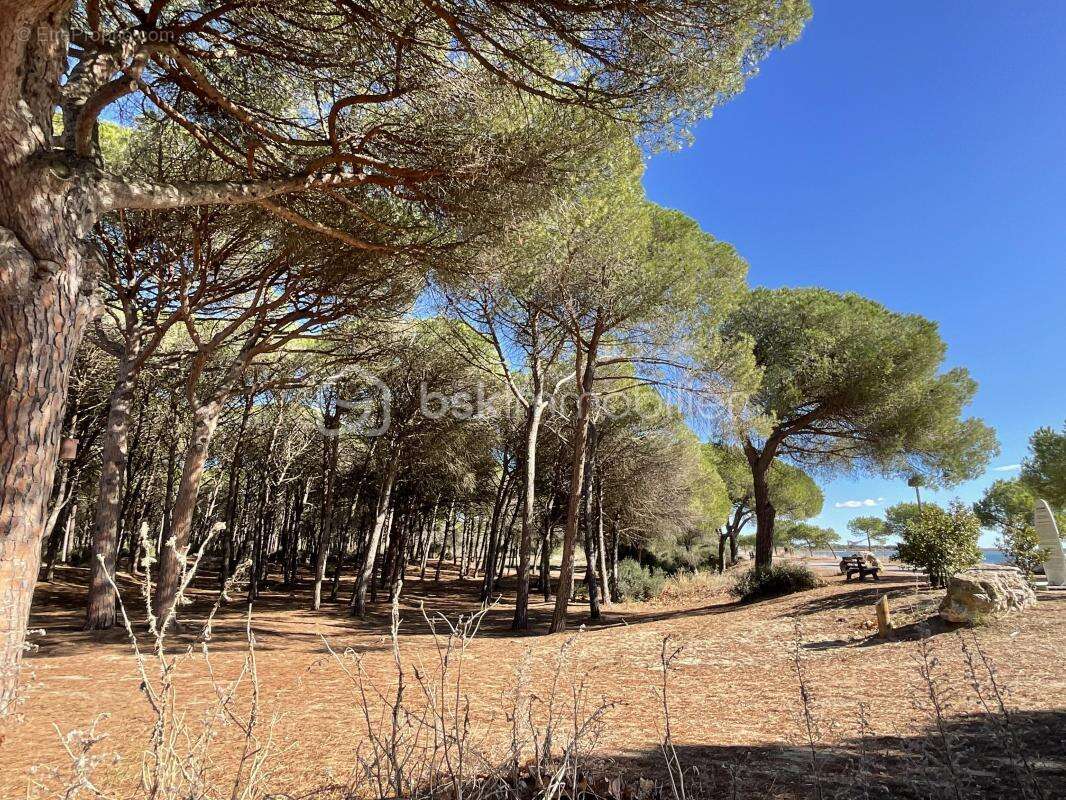 Appartement à LA GRANDE-MOTTE