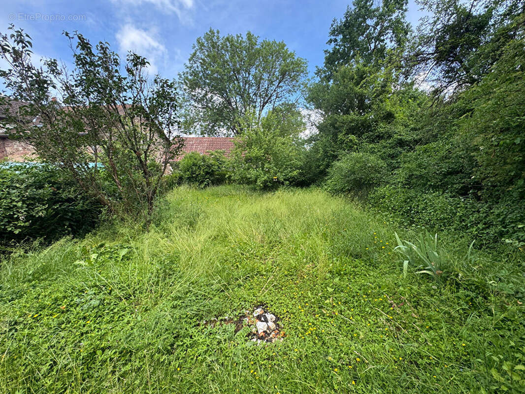 Maison 65m² à granges-le-bourg - photo 5