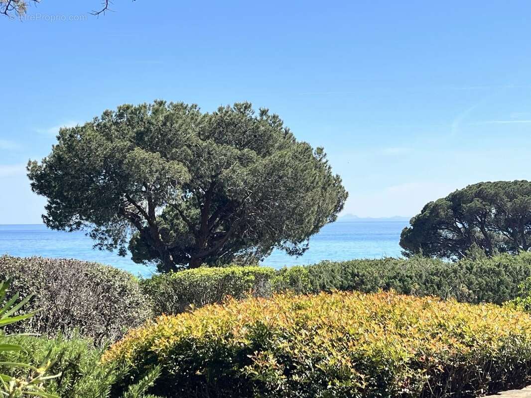 Maison à PORTO-VECCHIO