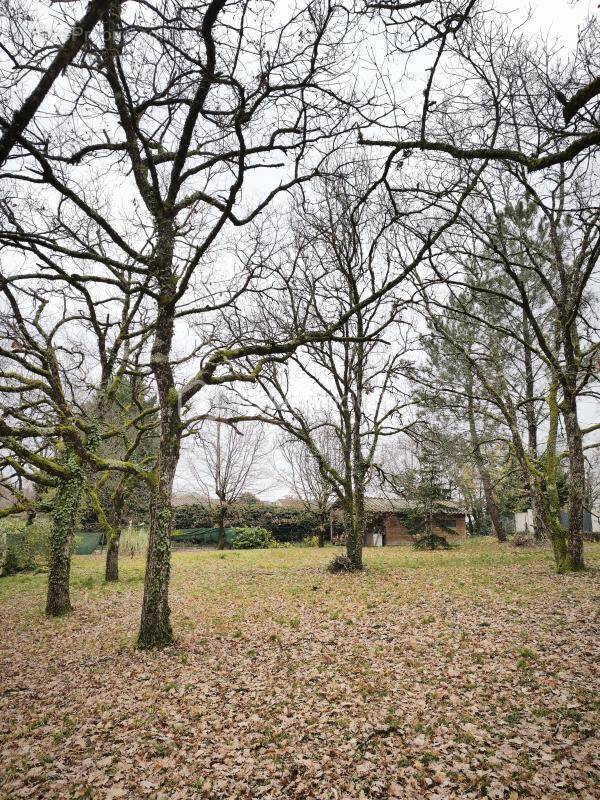 Terrain à BOULOC
