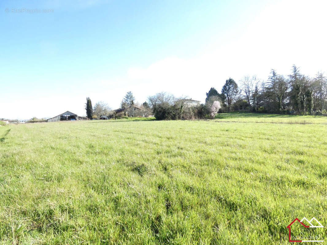 Terrain à SAINT-ANTOINE-CUMOND