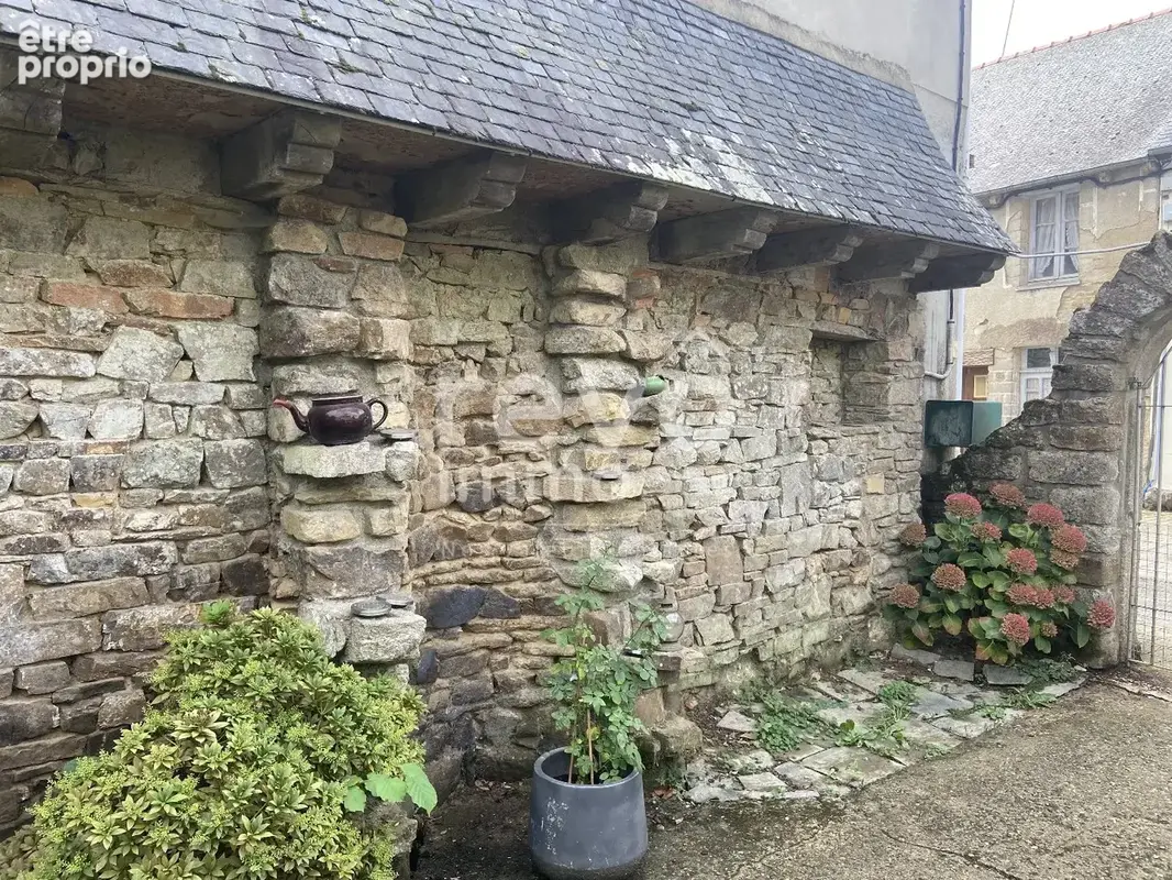 Grande maison de bourg - photo 19