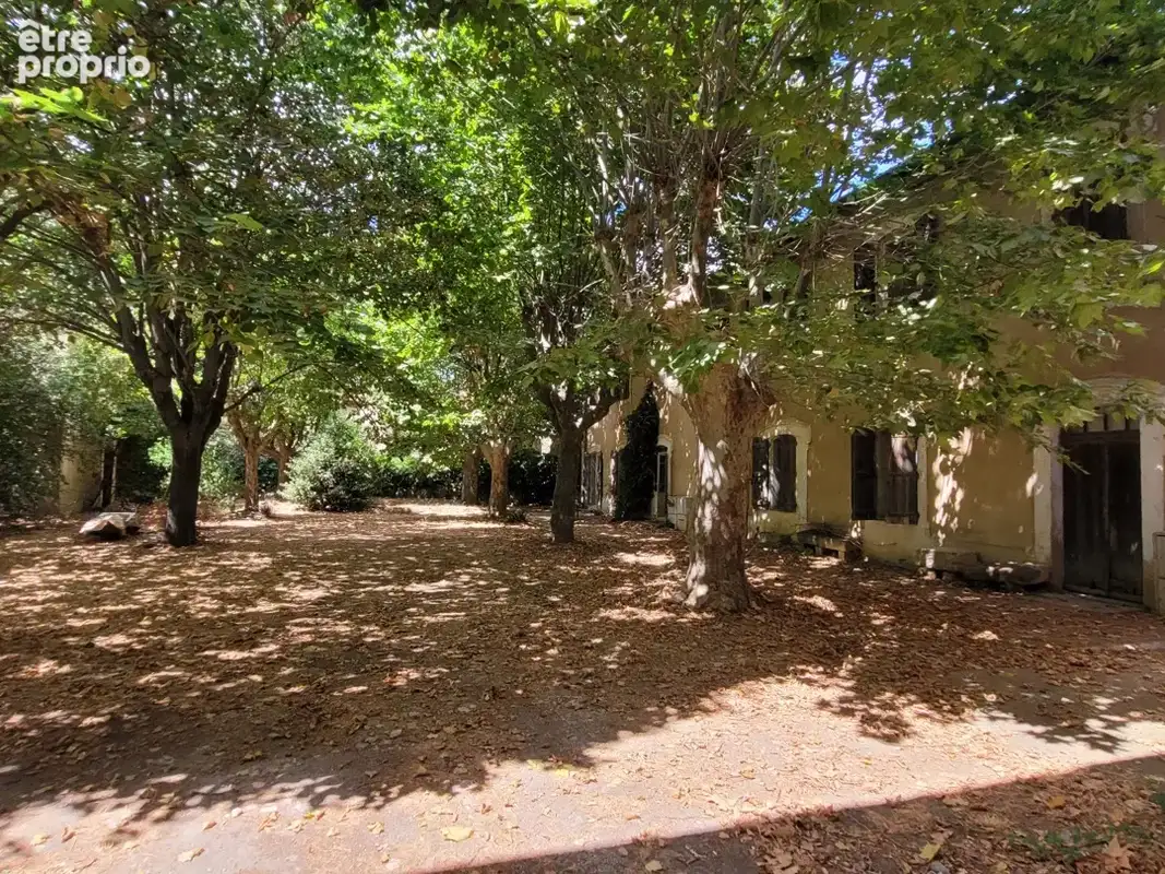 Ancien domaine viticole : un bien véritablement unique. - photo 6