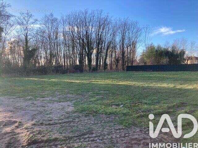 Photo 2 - Terrain à GERGY