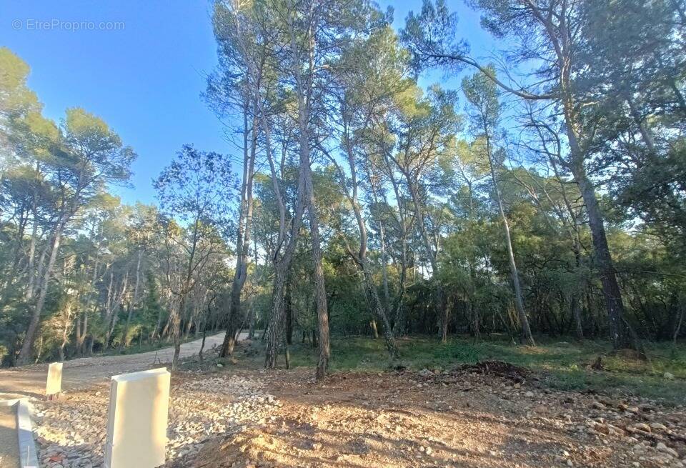 Terrain à LORGUES