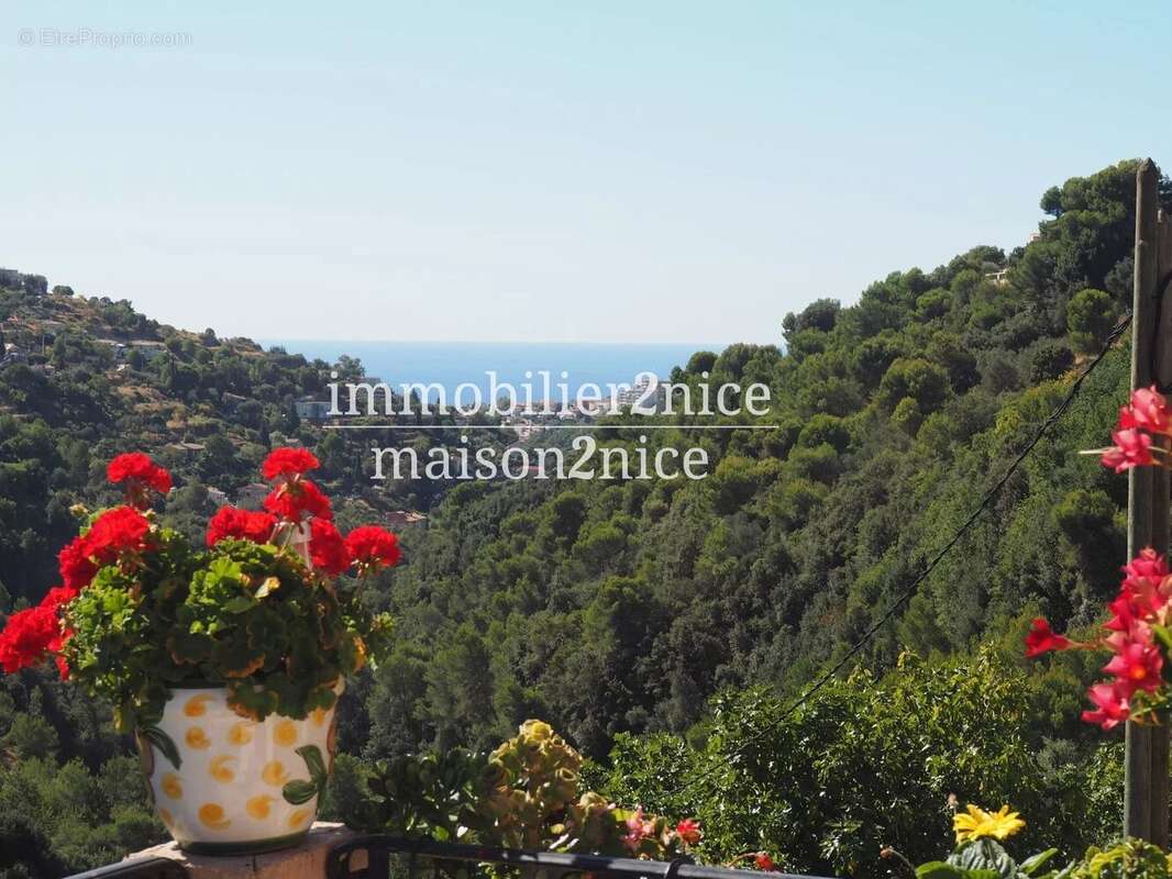 Maison à NICE