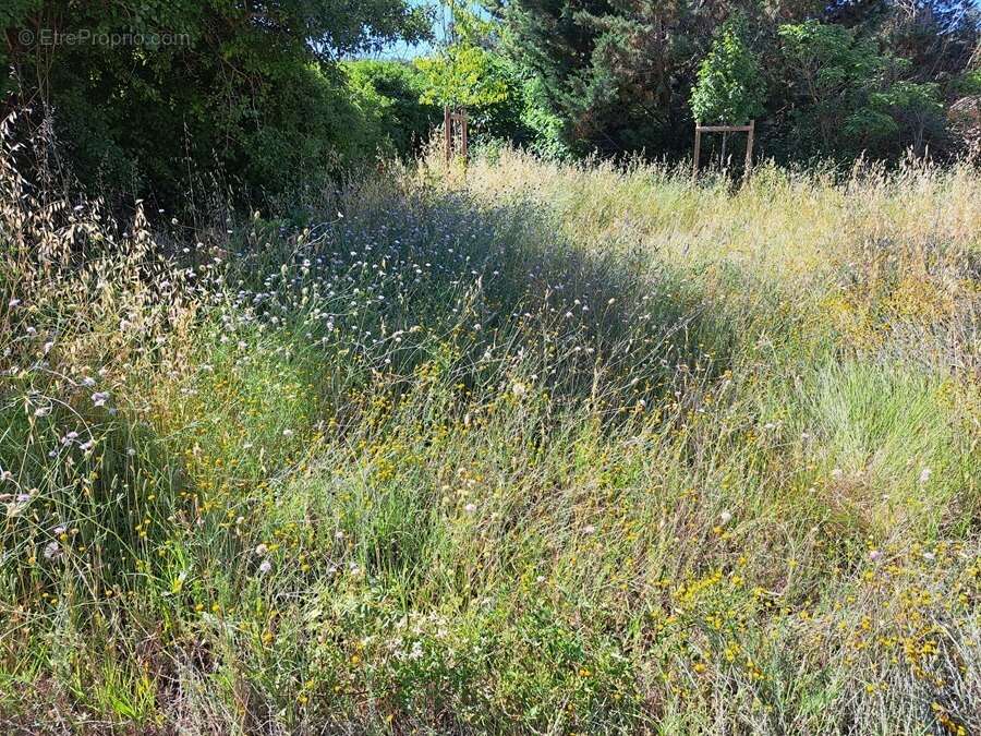 Terrain 413 m² à Peynier  - photo 5