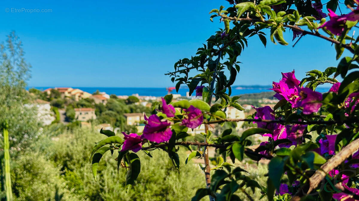 Maison à BORMES-LES-MIMOSAS
