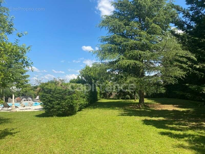 Maison à vendre 7 pièces AUXERRE (89) 167 m2  Piscine  Terrain de 2300 m2 Dépendance - photo 7