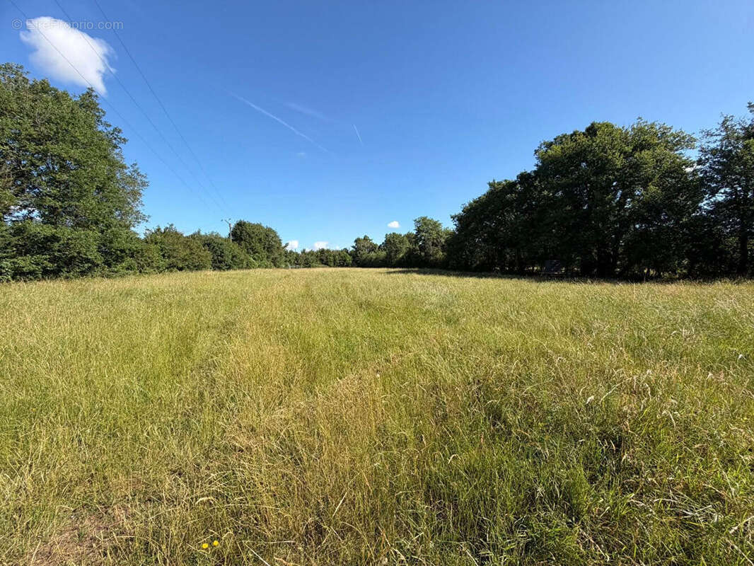 VIENNE ? Superbe propriété de campagne mitoyenne avec 1,2 hectare de terrain attenant, piscine et cadre champêtre exceptionnel. - photo 3