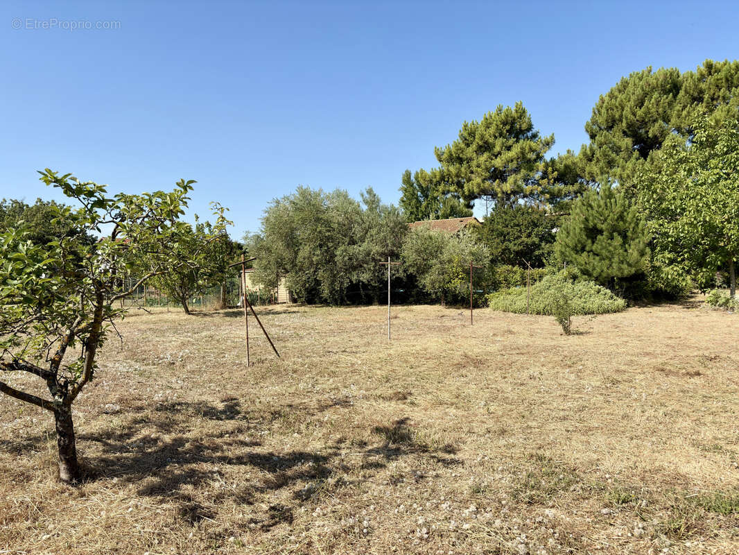 Terrain constructible à viabiliser 445 m2 - SUD TOURNON CHAPOTTE - photo 2
