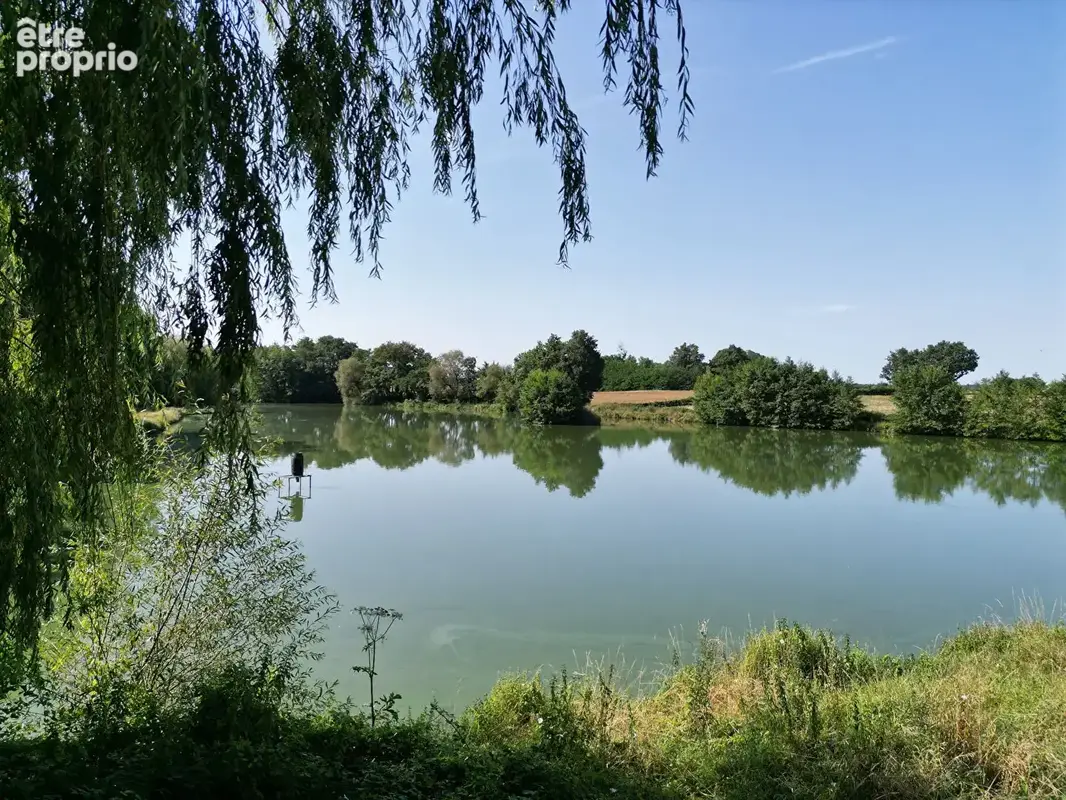 Photo Terrain à Saint-Martin-En-Bresse au prix de 80 000€