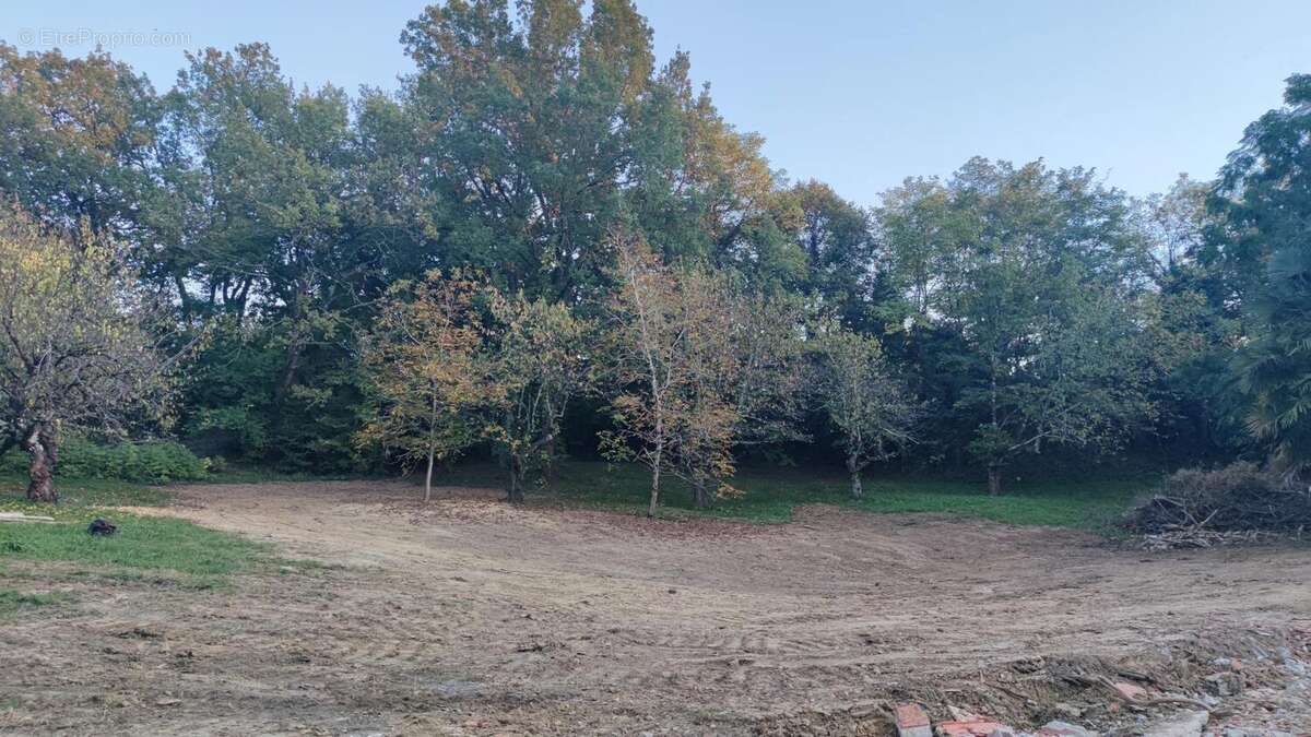 Photo 6 - Terrain à CASTELNAU-D&#039;ESTRETEFONDS