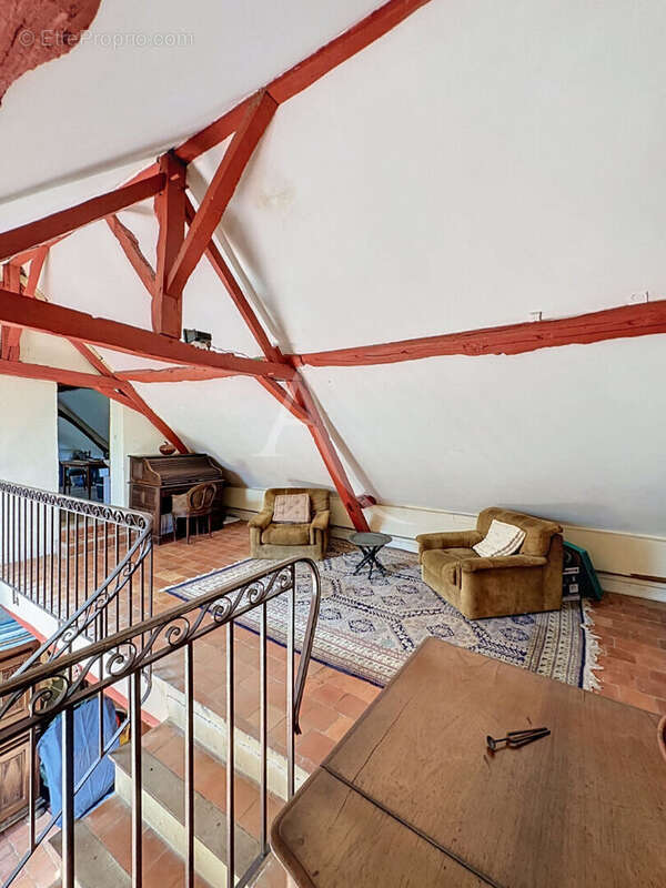 Propriété  avec moulin,  Charme et potentiel exceptionnel - photo 9