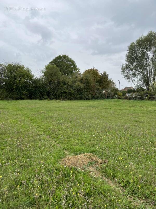 Terrain à VALFRAMBERT