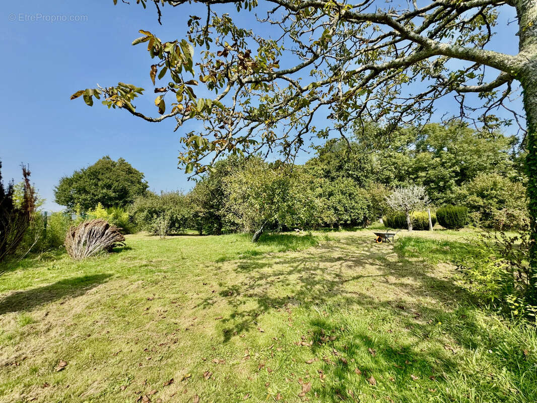 Maison à MOELAN-SUR-MER