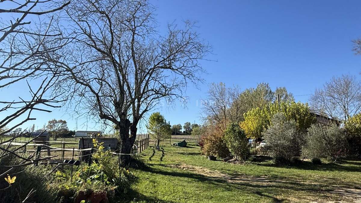Maison à ALLEGRE-LES-FUMADES