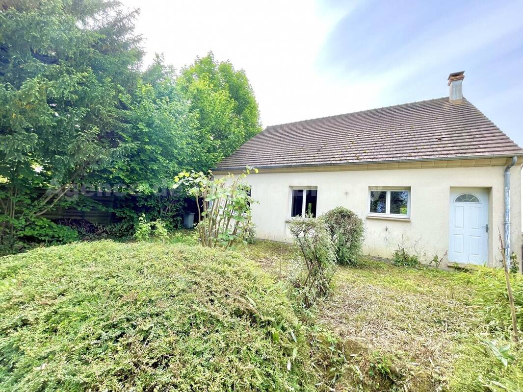 IMG_6416 - Maison à BRUNOY